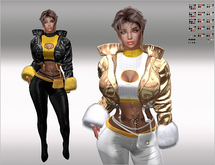 SET Leather Jacket,Top,Sleeves,Pants 144x Color HUD,full Pack