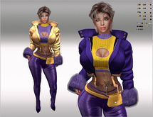 SET Leather Jacket,Top,Sleeves,Pants 44x yellow/lilac Color HUD