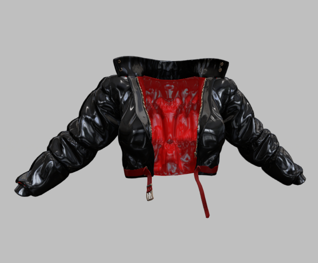 DEMO Leather Jacket with Zipper