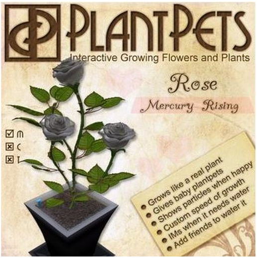 PlantPet Seed [Rose *Mercury Rising*] RARE
