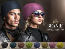 [HW] THE PREMIUM V BEANIE HATS