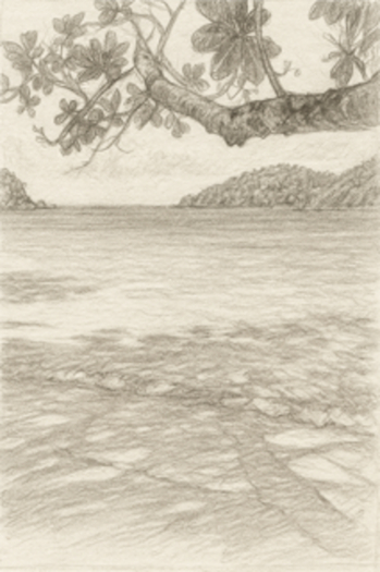 Beach drawing
