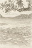 Beach drawing