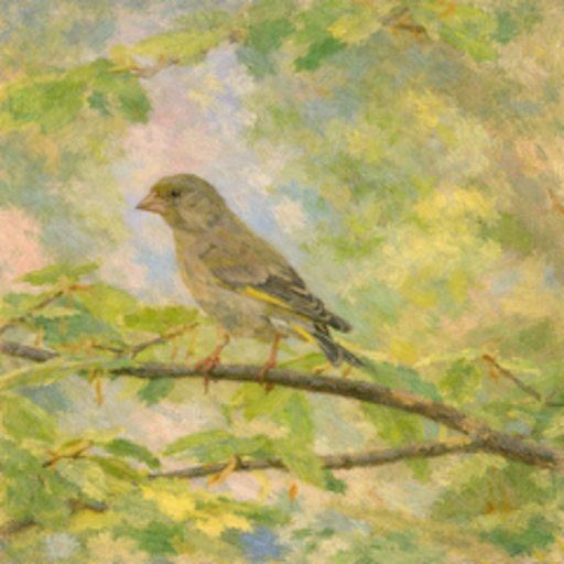 Bird on branch