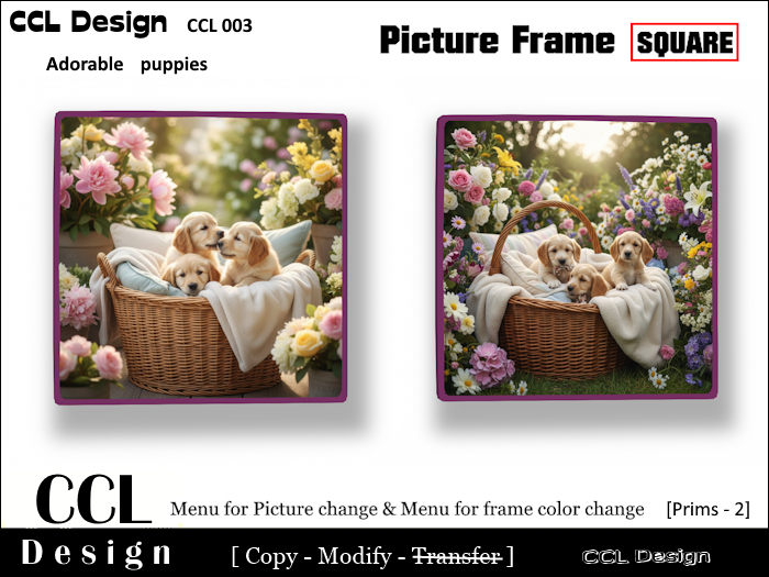 CCL Design - Picture Frame CCL003