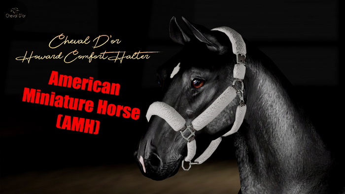Cheval D'or / TeeglePet AMH / Howard Comfort Halter. [HUD]