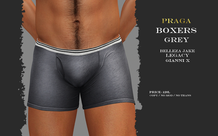 Praga Boxers - Grey