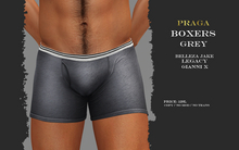 Praga Boxers - Grey