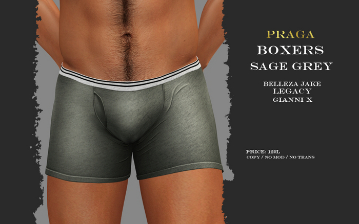 Praga Boxers - Sage Grey