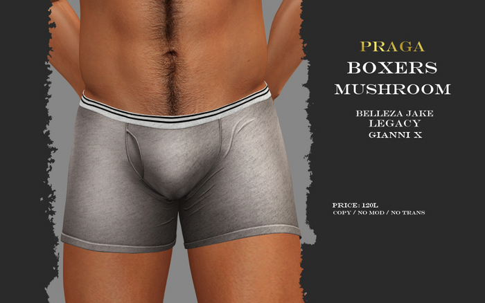 Praga Boxers - Mushroom