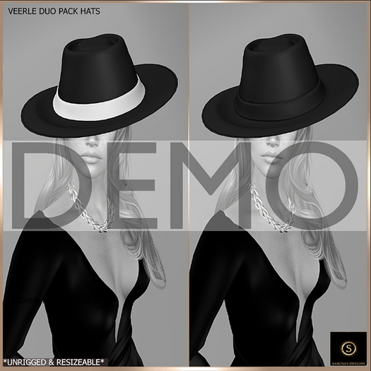 SAS - DEMO Veerle Hat 