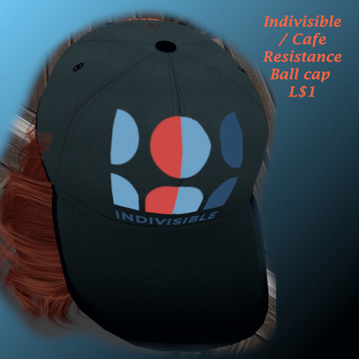 Indivisible Cafe Resistance Hat