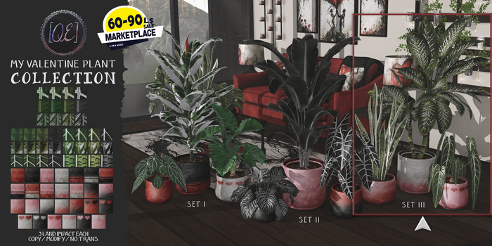 [QE Home] My Valentine Plant Collection Set III