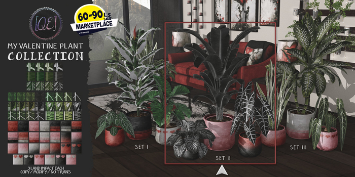 [QE Home] My Valentine Plant Collection Set II