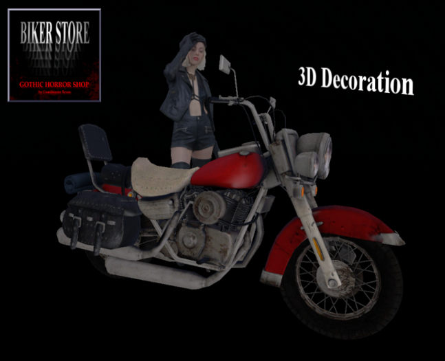 #Girl with Motorcycle (display)