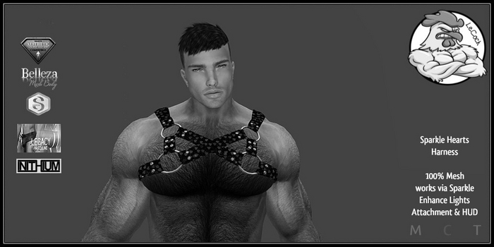 LeCock - Sparkle Hearts Harness DEMO