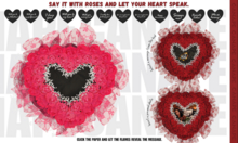 [Canape] Burn Away Bouquet - HOT PINK