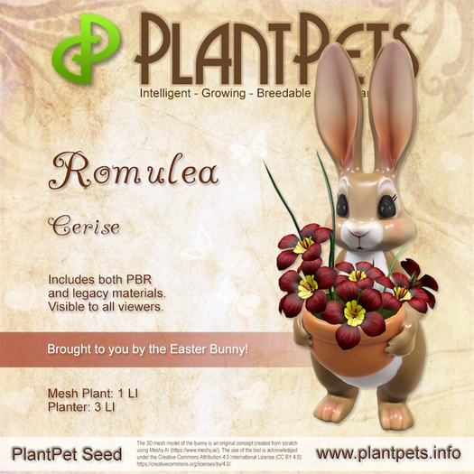 PlantPet Seed [Romulea *Cerise*] RARE