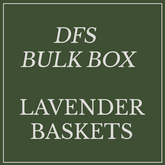 DFS Flowers Lavender x18