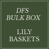 DFS Flowers Lily x10