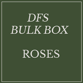 DFS Flowers Rose x33