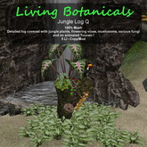 Inochi Botanicals - Jungle Log Q