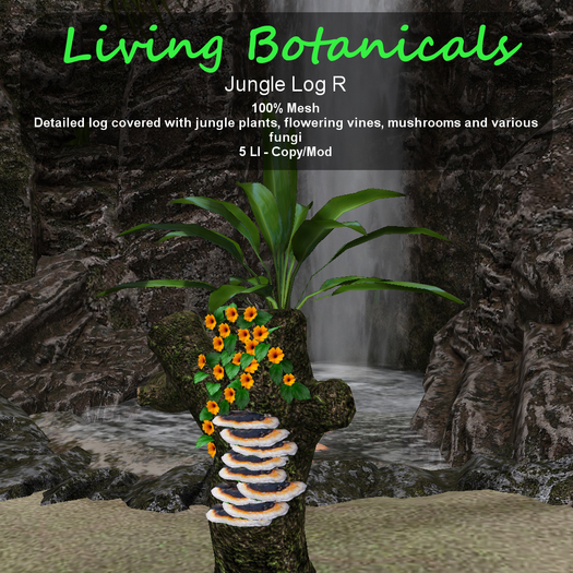 Inochi Botanicals - Jungle Log R