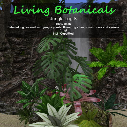 Inochi Botanicals - Jungle Log S