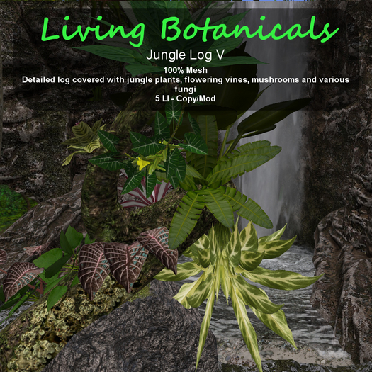 Inochi Botanicals - Jungle Log V