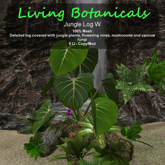 Inochi Botanicals - Jungle Log W
