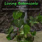 Inochi Botanicals - Jungle Log W