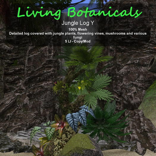 Inochi Botanicals - Jungle Log Y