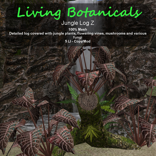 Inochi Botanicals - Jungle Log Z