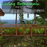 Inochi Botanicals - Asian Bamboo Fence