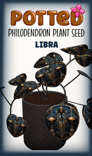 Potted: Philodendron Seed: Libra