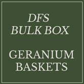 DFS Geranium Baskert x32