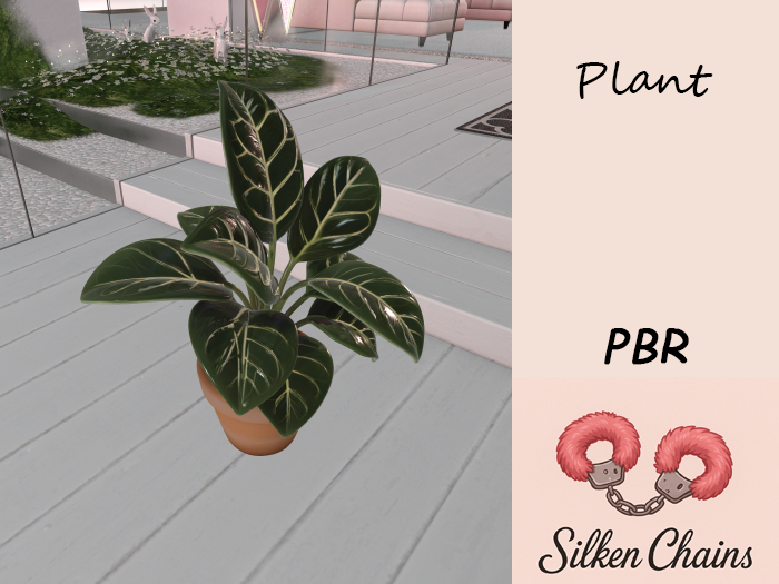 [SC] Plant 8
