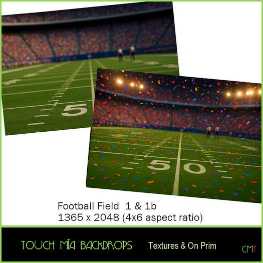 TOUCH MIA Backdrops - Football Field