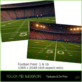 TOUCH MIA Backdrops - Football Field