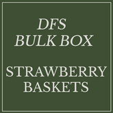 DFS BULK Strawberry Baskets x57