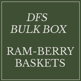 DFS BULK Ram-Berry Baskets x33