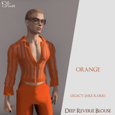 .:Bliss:. Deep Reverie Blouse Orange