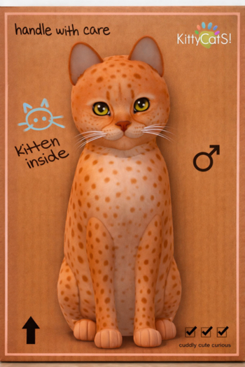 KittyCatS Box - Tango