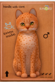 KittyCatS Box - Tango