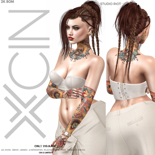 CIN// 210.B.INK