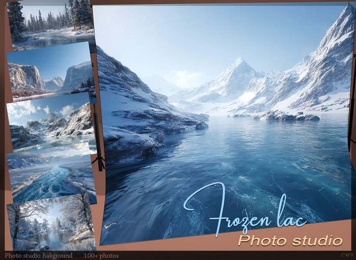 *!* Screen studio photo frozen lac