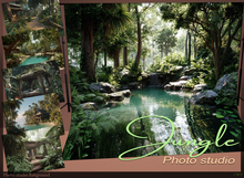 *!* Screen studio photo jungle