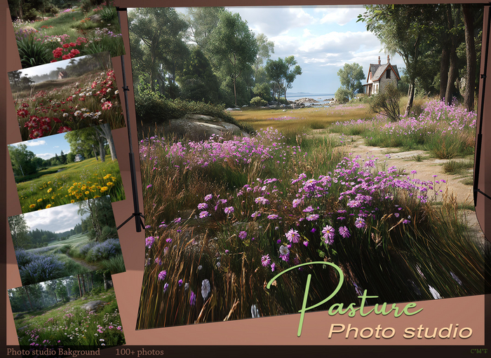 *!* Screen studio photo Pasture flowers