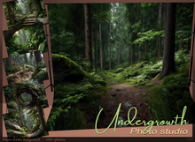 *!* Screen studio photo Undergrowth
