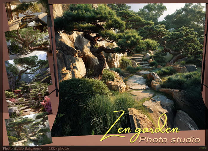*!* Screen studio photo Zen Garden